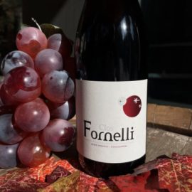 Vin rouge : Clos Fornelli accompagné de son décor d'automne