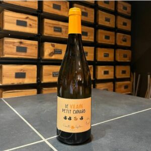 Le Vilain Petit Canard